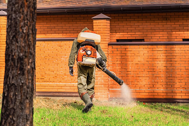 Bed Bug Clearance Verification and Documentation in Piney Point Village